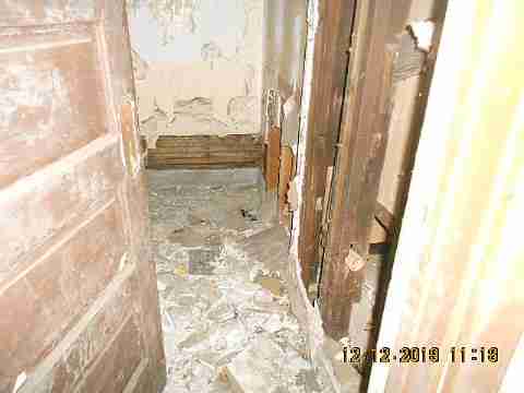 5529 Joy 2nd trip (28)_m.jpg